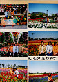 t9701 (8)_thumb.jpg